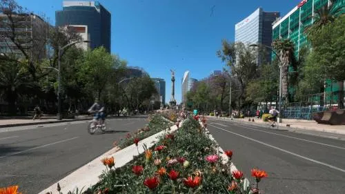 Fitch baja expectativa de crecimiento de México para 2019 a 1.6%