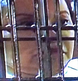 CNDH descarta maltrato físico a Elba Esther Gordillo