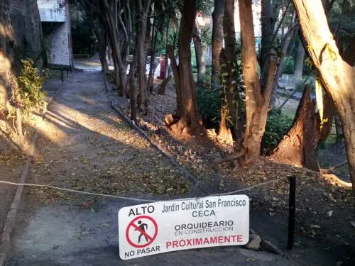 Gobierno detonará Orquideario en Jardines de San Francisco