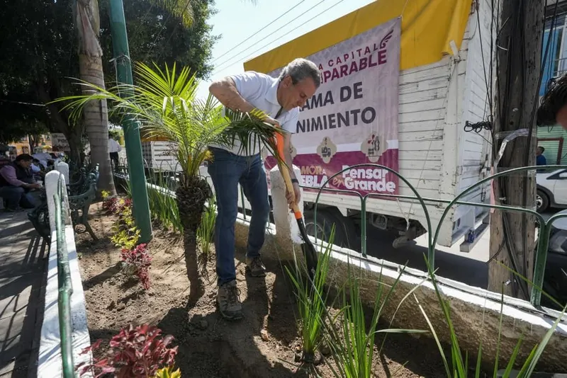 ayto-pue-reforestacion