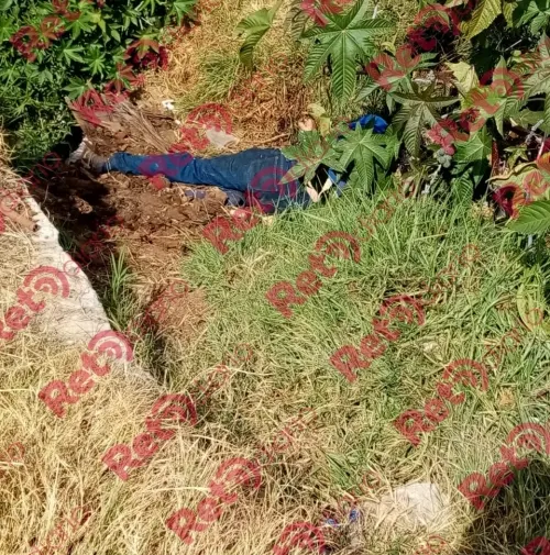 Hallan el cadáver de un joven maniatado en Bosques de Manzanilla