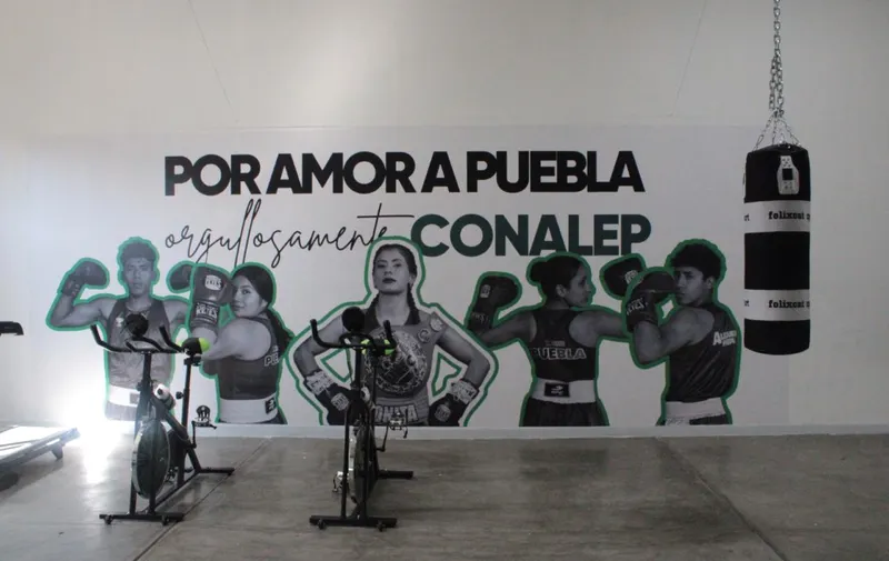 Imagen del artículo