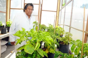 Con el uso de biosólidos, la BUAP apoya a la agricultura poblana