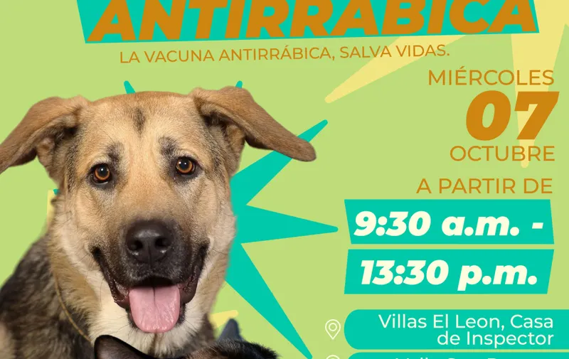 Atlixco llevará vacunación antirrábica para perros y gatos a colonias y comunidades
