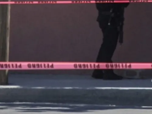 Van 10 defensores ambientales asesinados durante pandemia