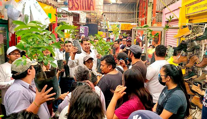alejandro-armenta-arboles-frutales-sembremos-esperanza
