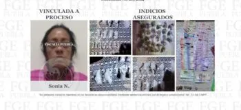 Tras cateo en colonia Villa Guadalupe, una mujer fue detenida por posesión de estupefacientes