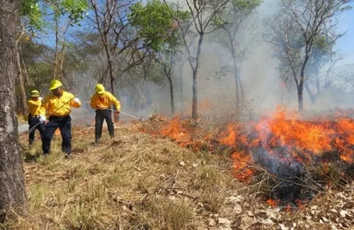 Sofocados tres incendios forestales, uno sigue activo