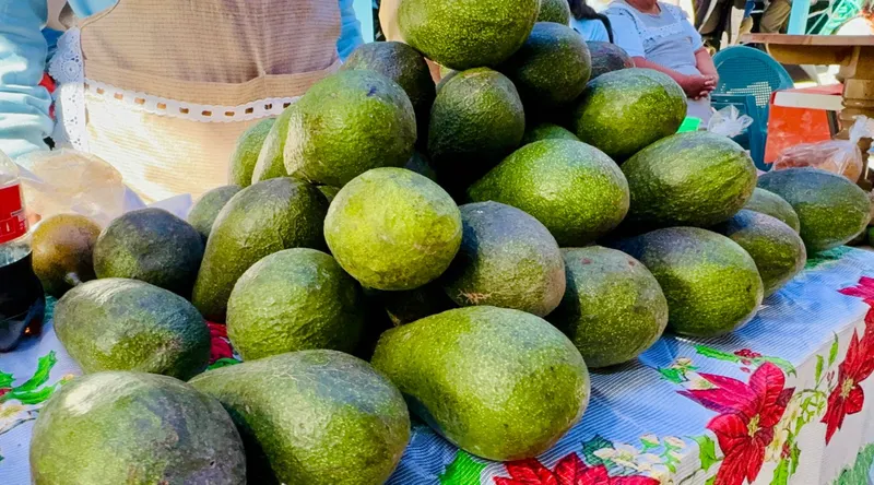 atlixco-feria-del-aguacate