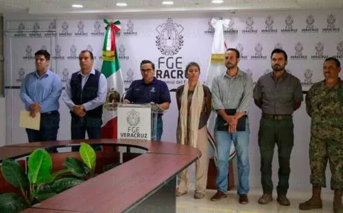 Hallan 36 fosas clandestinas en un predio en Veracruz