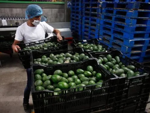 México debe fortalecer comercio con Asia: académicos