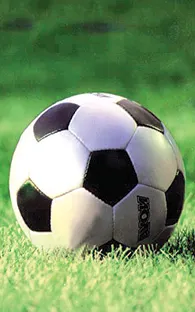 Torneo Clausura 2012, el balón vuelve a rodar