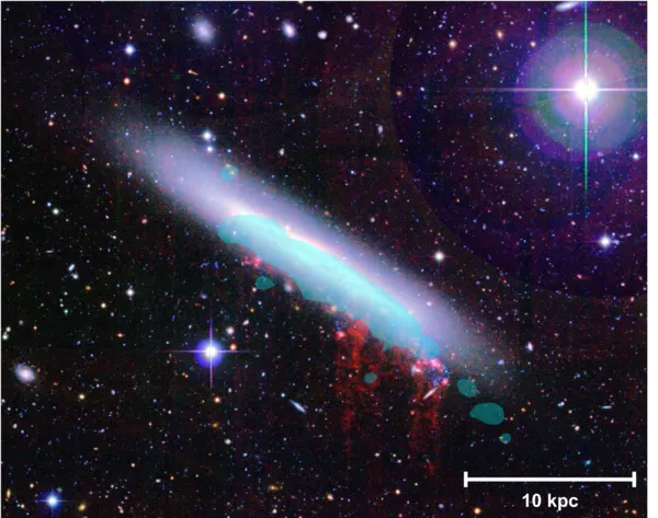 El curso analiza el origen del universo y otras cuestiones.
