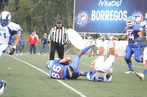 Concentrados Borregos Puebla sólo en la victoria
