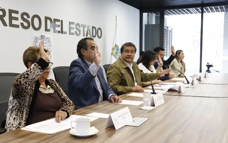 Laura Guadalupe Vargas Vargas, diputada local de Puebla por el Partido Verde