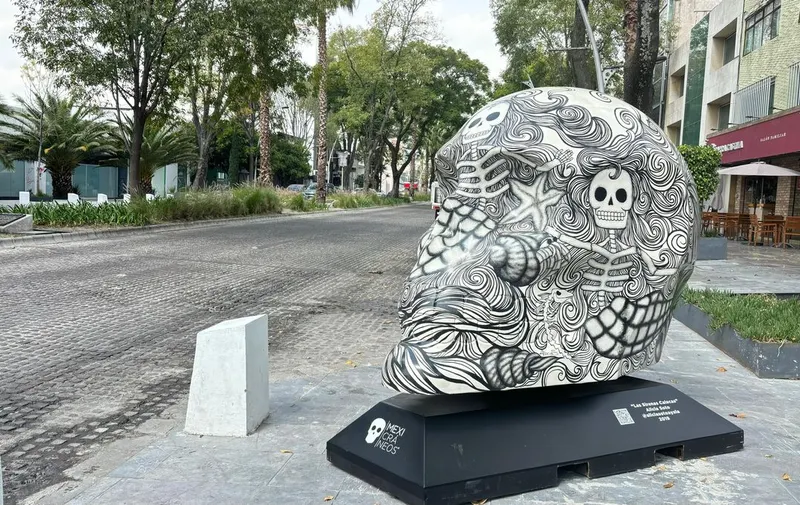 mexicraneos-avenida-juarez-pue