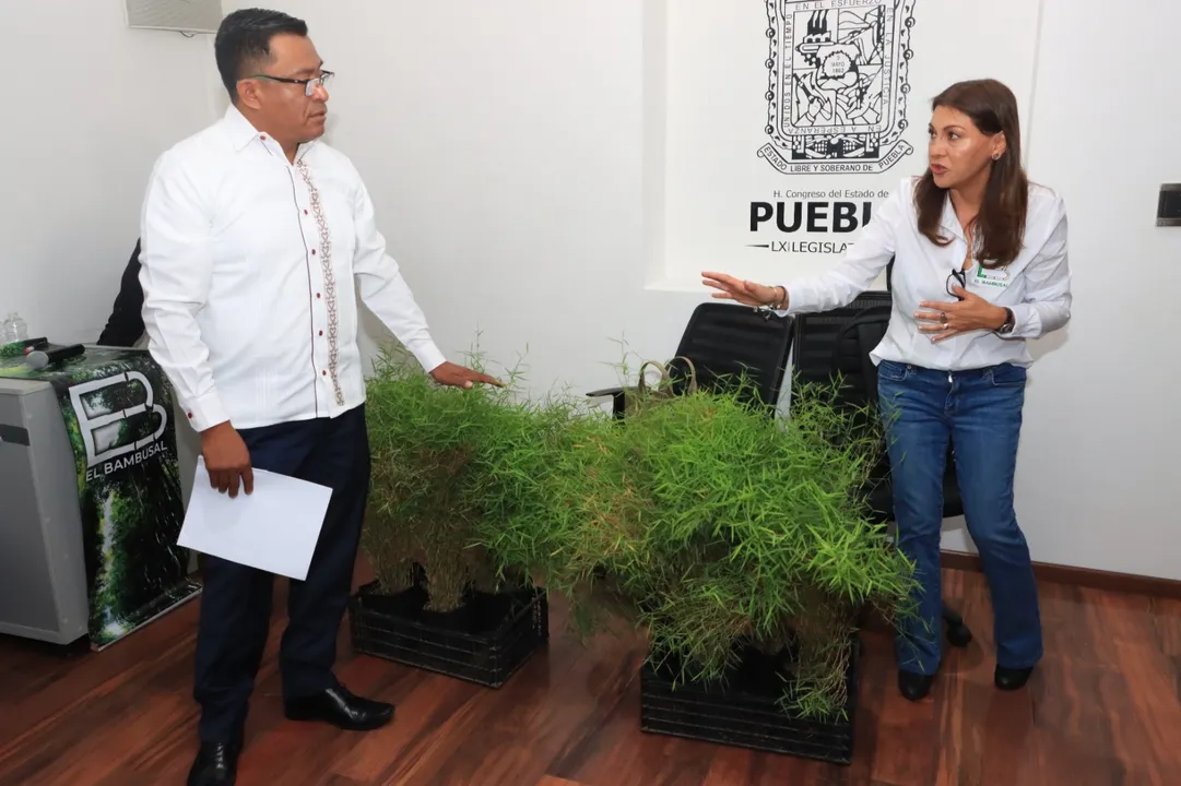 Zona turística de "El Bambusal"