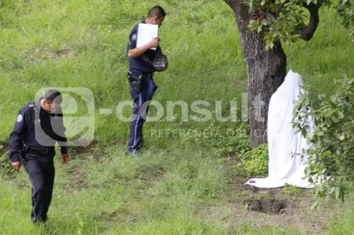 Encuentran cuerpo de mujer colgado de un árbol en Manuel Rivera Anaya