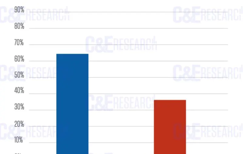 Imagen del artículo