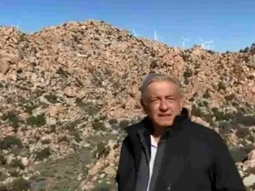 No habrá permisos a empresas que dañen el ambiente: López Obrador