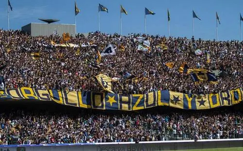 Confirma Pumas condonación de impuestos del SAT