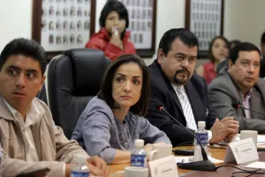 No se contempla desaparecer juntas auxiliares, sólo acotarlas: Buxadé