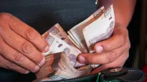Salud y educación, los más afectados por recorte