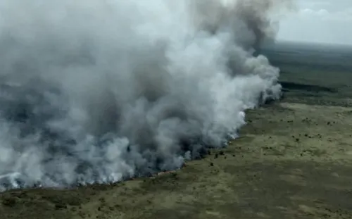 Fuerte incendio consume reserva ecológica Sian Ka’an, en Quintana Roo