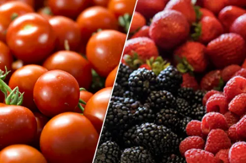 ‘La guerra de los tomates y las berries’, el nuevo choque entre México y EU