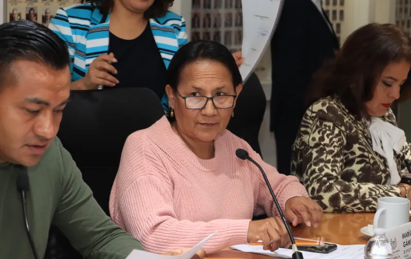 En Comisión del Congreso aprueban reformas para tener mayor control del perfil de los elementos de seguridad pública