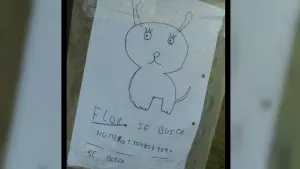 Dos niños que perdieron a su perrita la dibujan en anuncios de Se Busca