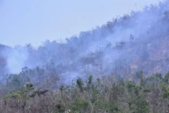 Presenta Medio Ambiente siete denuncias por provocar incendios forestales en Puebla