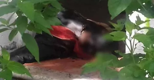 Hallan cuerpo de un hombre en estado de descomposición en Atlixco