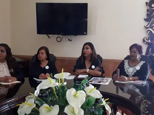 Red Plural de Mujeres presentará reforma de Ley Orgánica para garantizar paridad de género