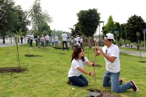 Volkswagen de México reforesta con 1,000 árboles zona de Los Fuertes