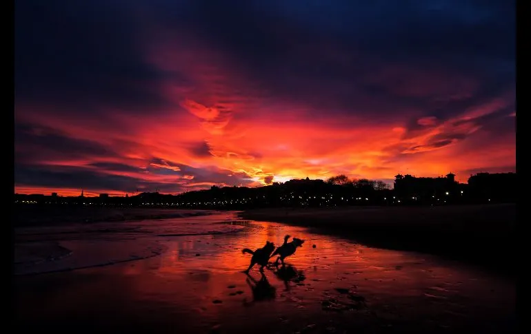 Perros juegan al amanecer en la playa de Ondarreta de San SebastiÃ¡n, EspaÃ±a. EFE/J. Etxezarreta