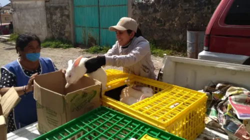 Carroll inicia proyecto de Cunicultura para la alimentación y economía de comunidades