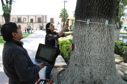Por seguridad, interviene gobierno de San Pedro Cholula áreas verdes del zócalo