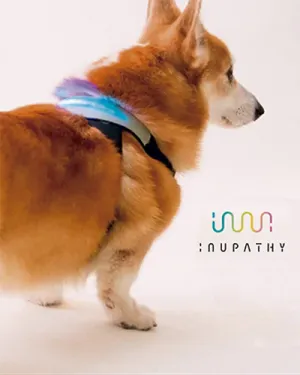 Un collar inteligente te dice cómo se siente tu perro