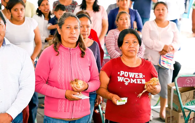 san-andres-cholula-paquetes-aves-de-traspatio
