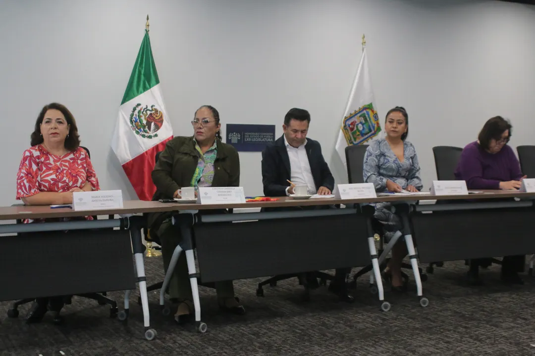 Congreso Pue Comision Organizaciones No Gubernamentales