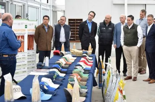 Mejoramiento de semillas y capacitación a productores para incrementar la productividad