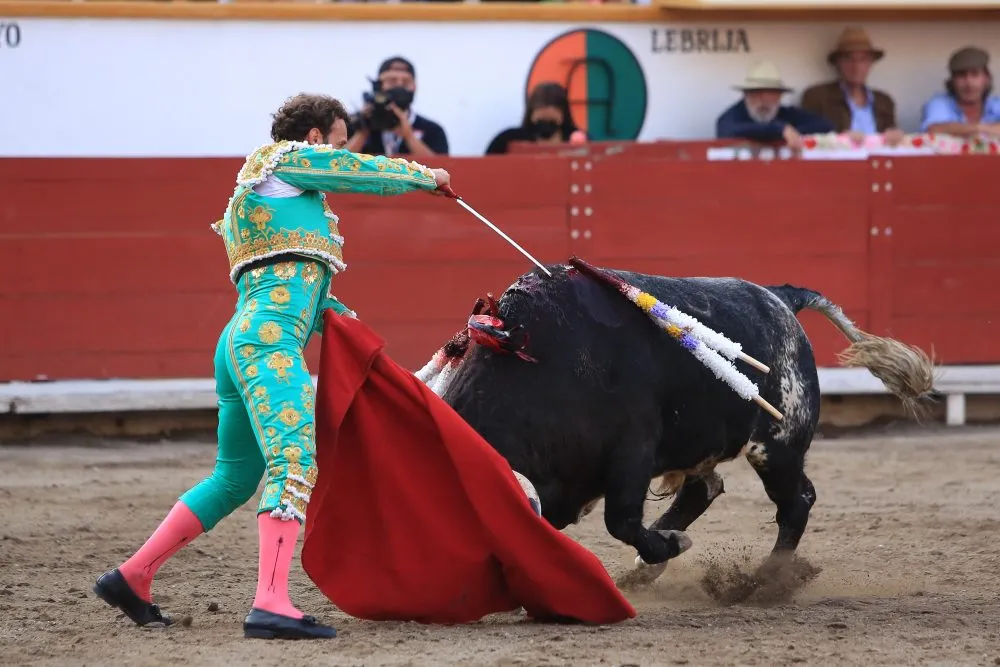 Exigen foros y debate para prohibir corridas de toros en Puebla
