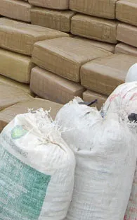 Decomisan una tonelada de cocaína en cajas de comida para perro