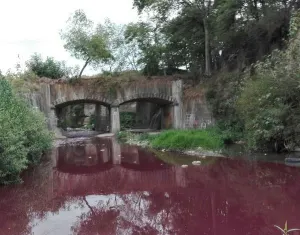 Denuncian contaminación masiva del Atoyac