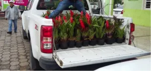 Recupera Profepa vida silvestre comercializada de manera ilegal en Huauchinango