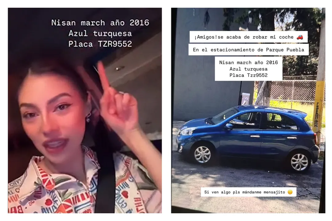 Roban Automovil Mariana Palacios