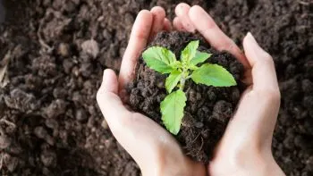 En Tamaulipas, maestra pide meter una materia sobre el cambio climático