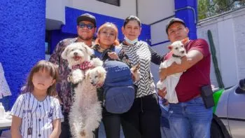 Impulsa la diputada Ana Tepole acciones en favor del bienestar animal en Tehuacán