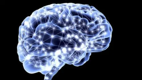 Científicos “inyectan” pensamientos e información en el cerebro de un mono